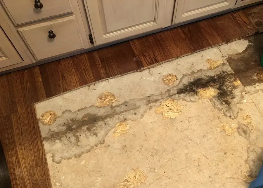 Stained subfloor beside kitchen cabinets after the flooring was lifted for drying
