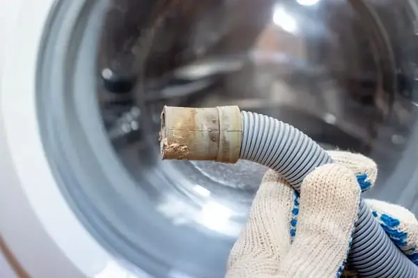 Washer leak cleanup in Downingtown, PA: a worn washing machine hose fitting in a gloved hand