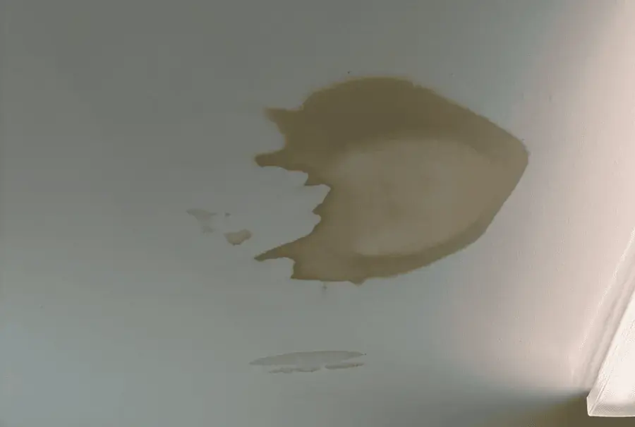 Ceiling leak water damage in Downingtown, PA: a brown water stain spreading across a ceiling