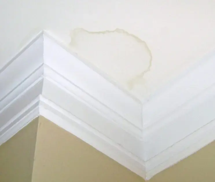 Roof leak and ice dam damage in Downingtown, PA: a water stain on the ceiling above crown molding at an outside wall
