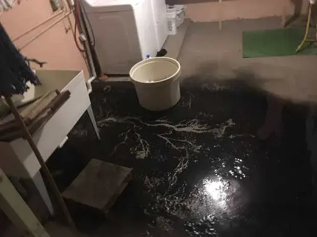 Sewage backup cleanup in Downingtown, PA: dark sewage water spread across a basement laundry floor