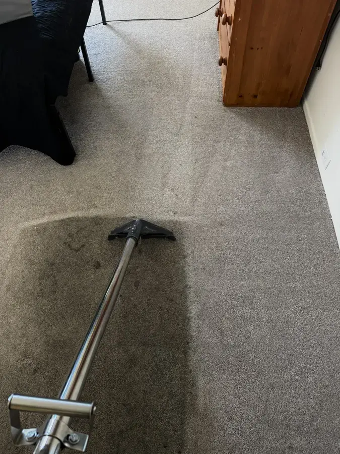 Water extraction in Downingtown, PA: a carpet wand pulling water out of soaked carpet